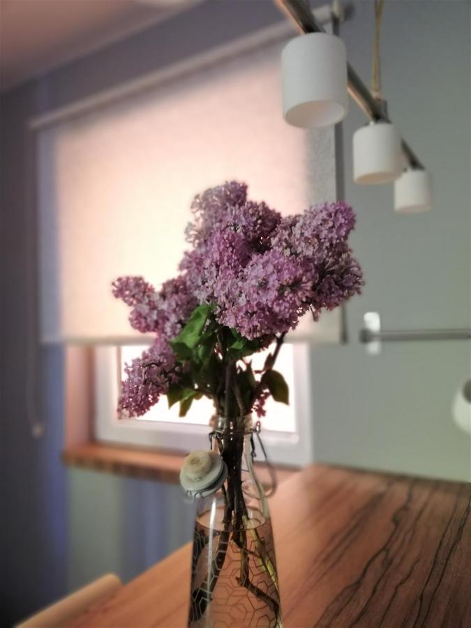 Nest Hotel Beograd Bagian luar foto