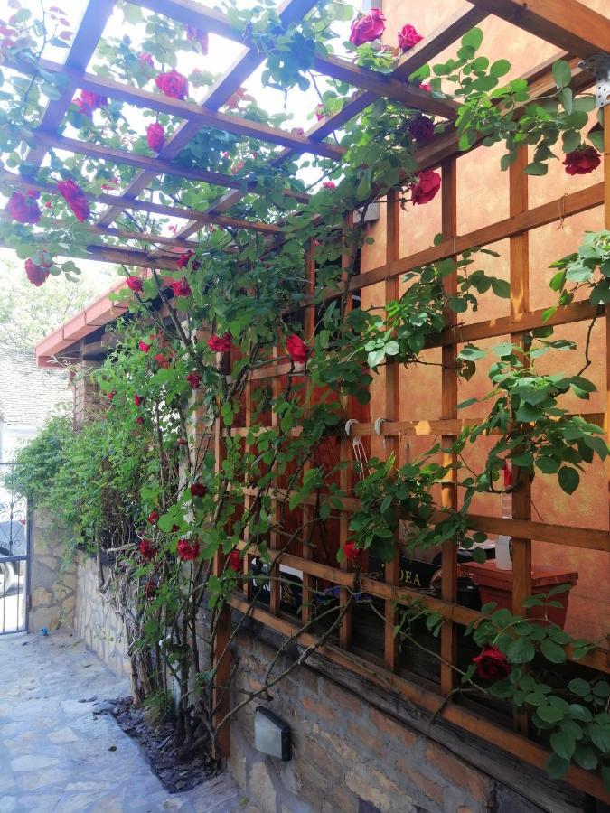 Nest Hotel Beograd Bagian luar foto